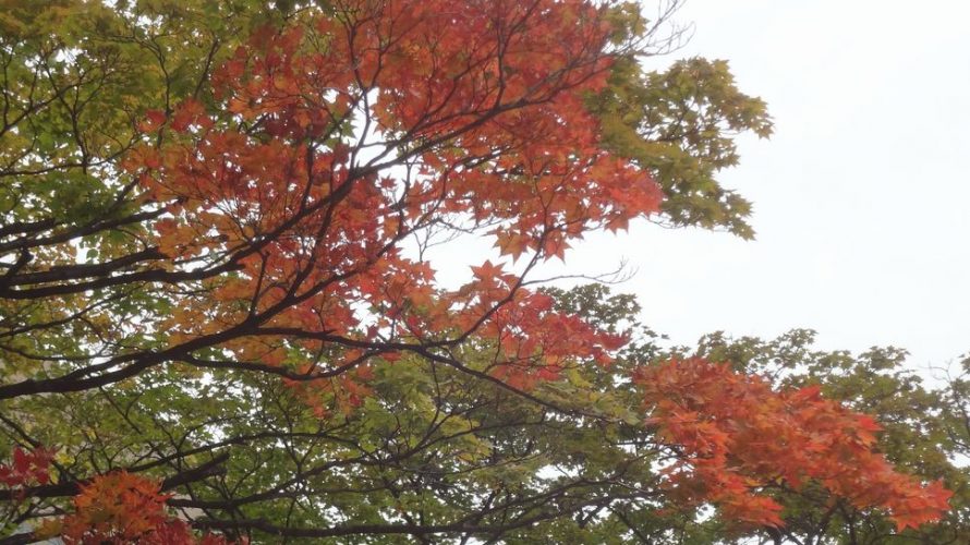 散歩撮影実習 10月6日(土)